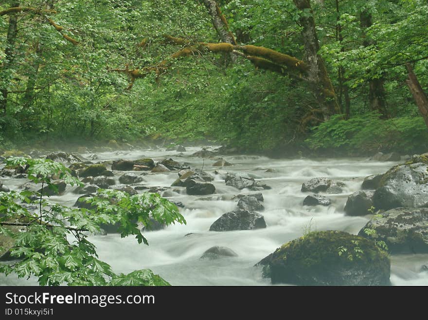 Skate creek