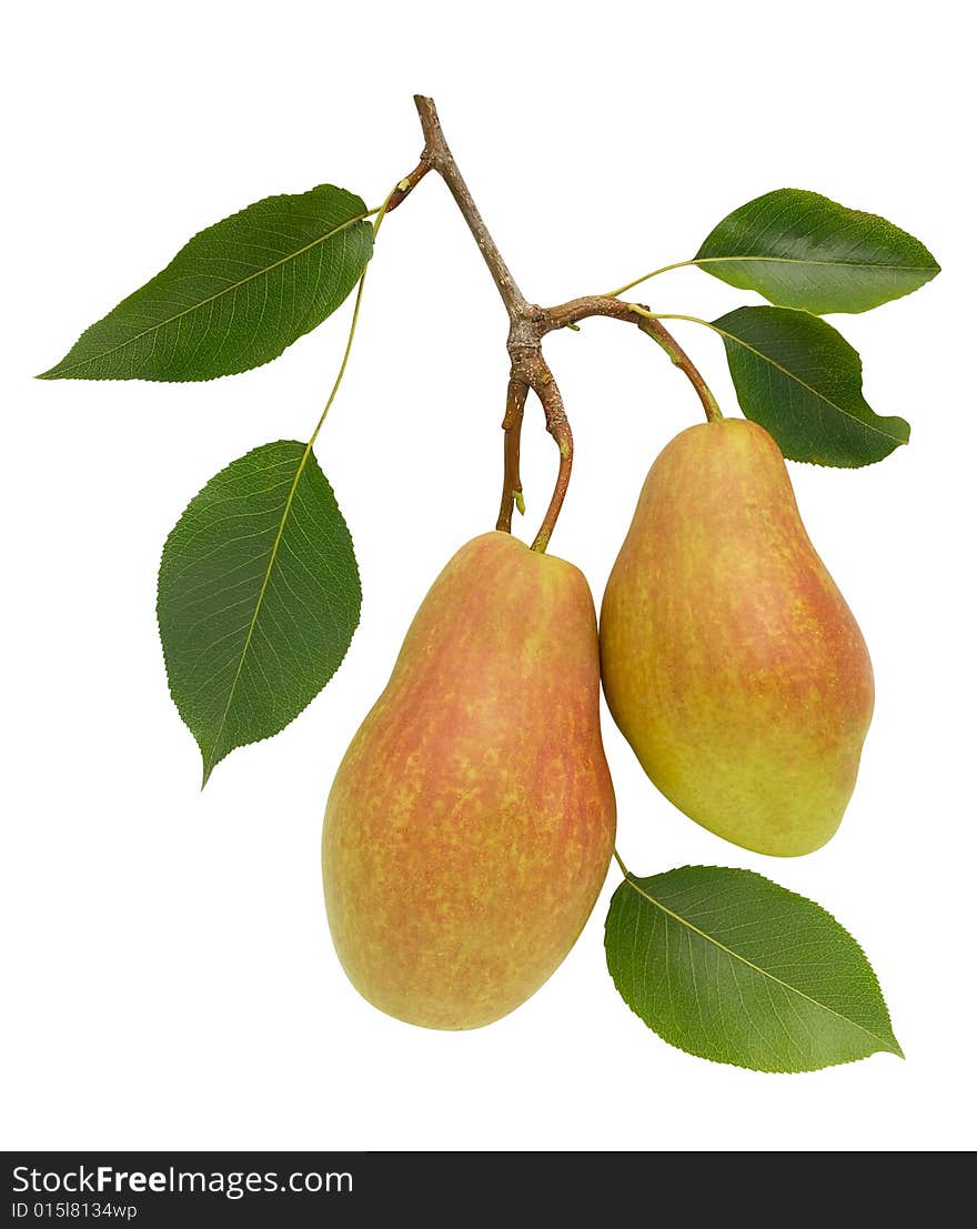 Two pears