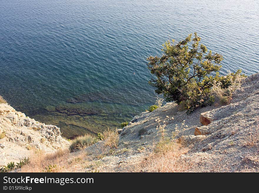 Wild beach Black Sea in the month of September