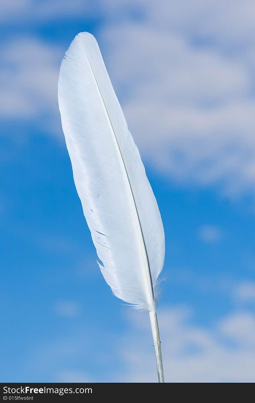 White feather on a background of the blue sky with clouds. White feather on a background of the blue sky with clouds