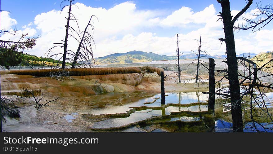 Mammoth hot springs Yellowstone