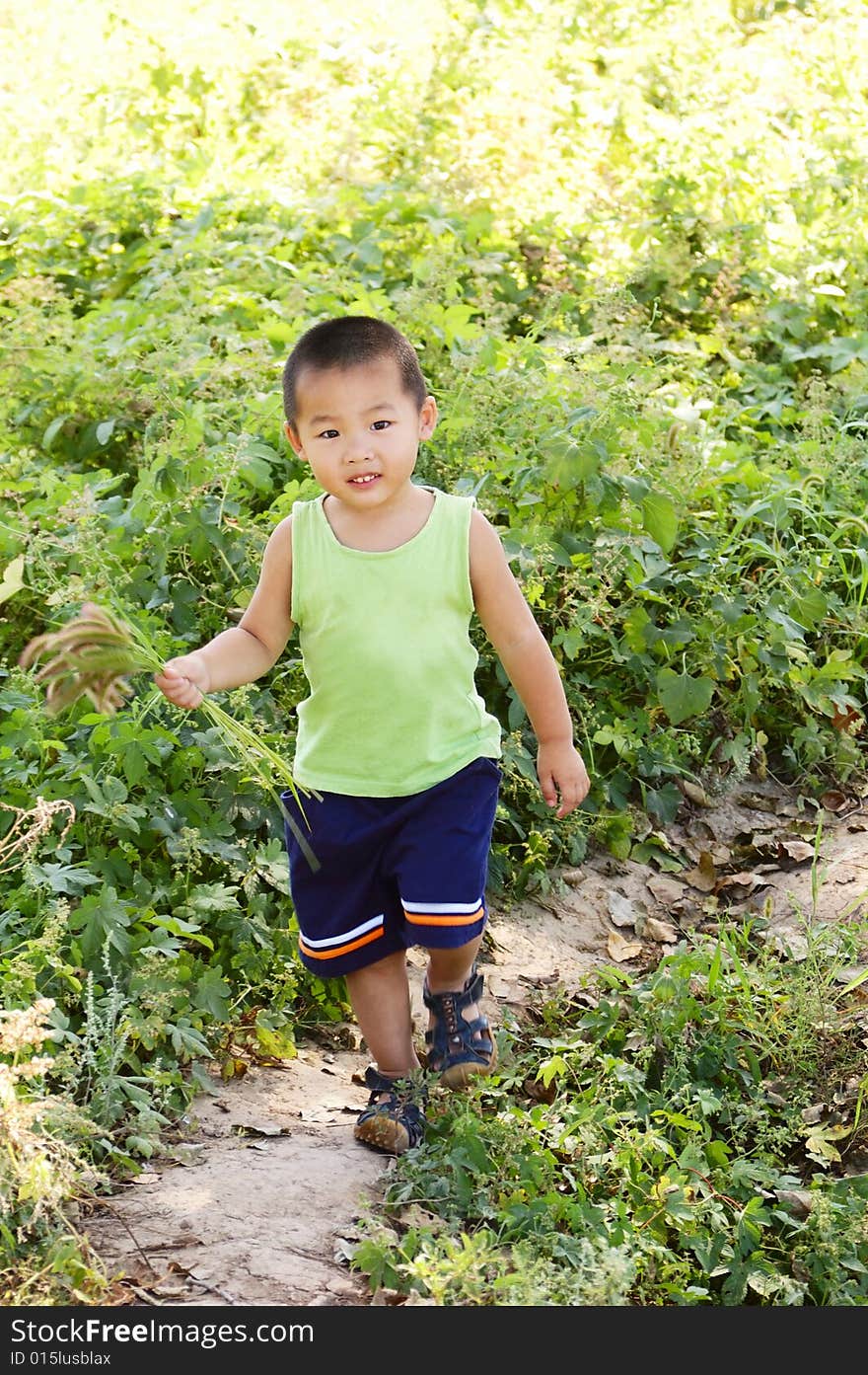 Baby playing in country field