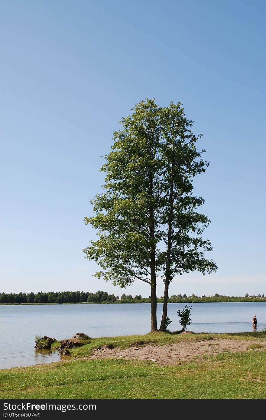 Lake on a field. summer landscape