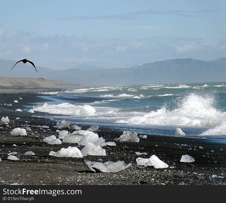 Ice floes on the beach