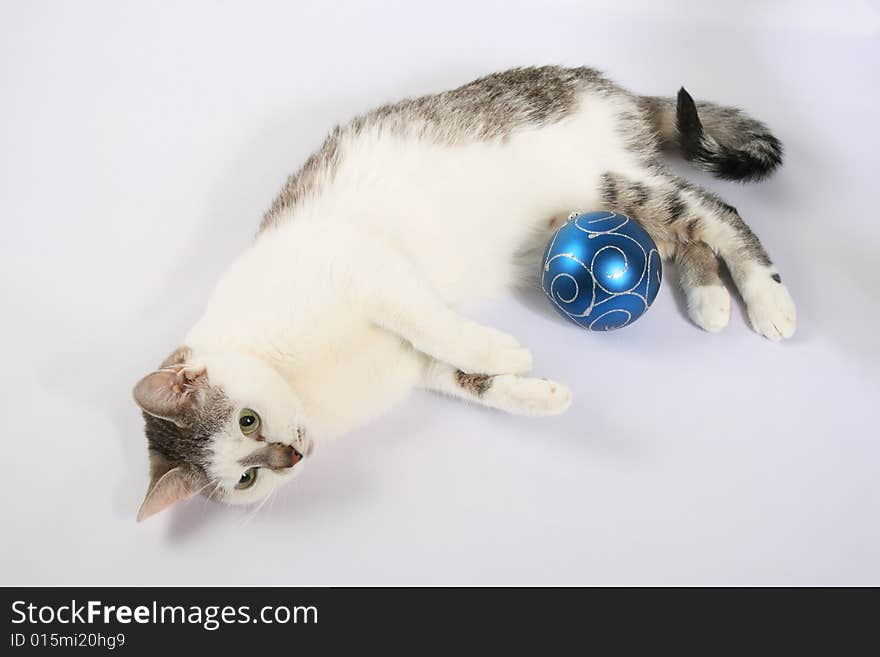 Cute cat with green eyes lying on white background