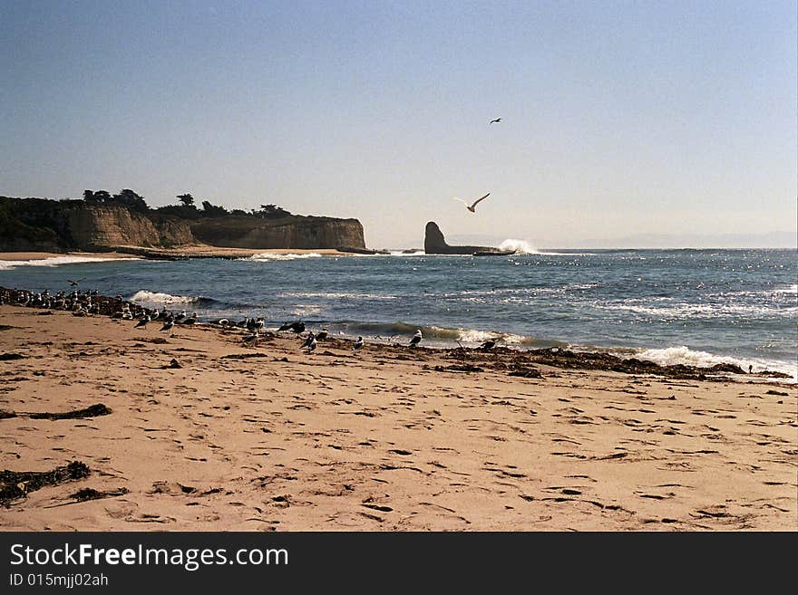 Scenic beach shot looking down the coast with cliffs and birds. Scenic beach shot looking down the coast with cliffs and birds