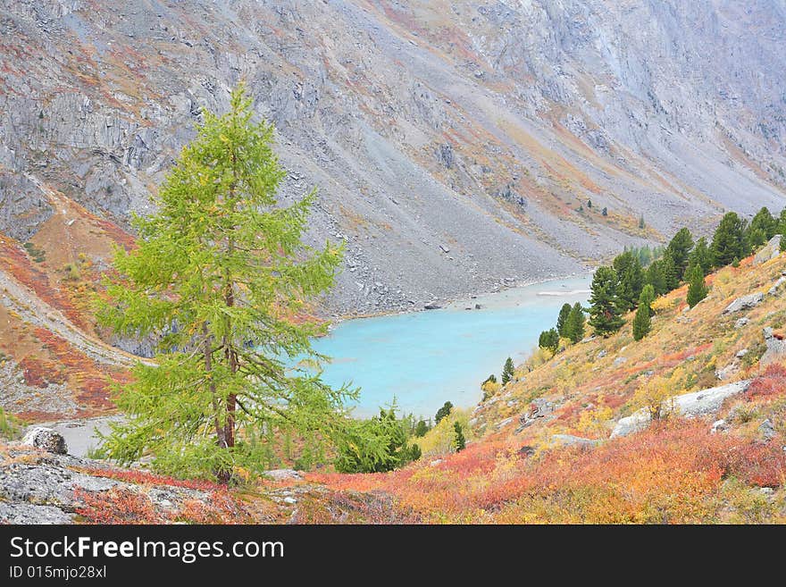 Turquoise Lake – autumnal colors in Altai Mountains, Siberia, Russia