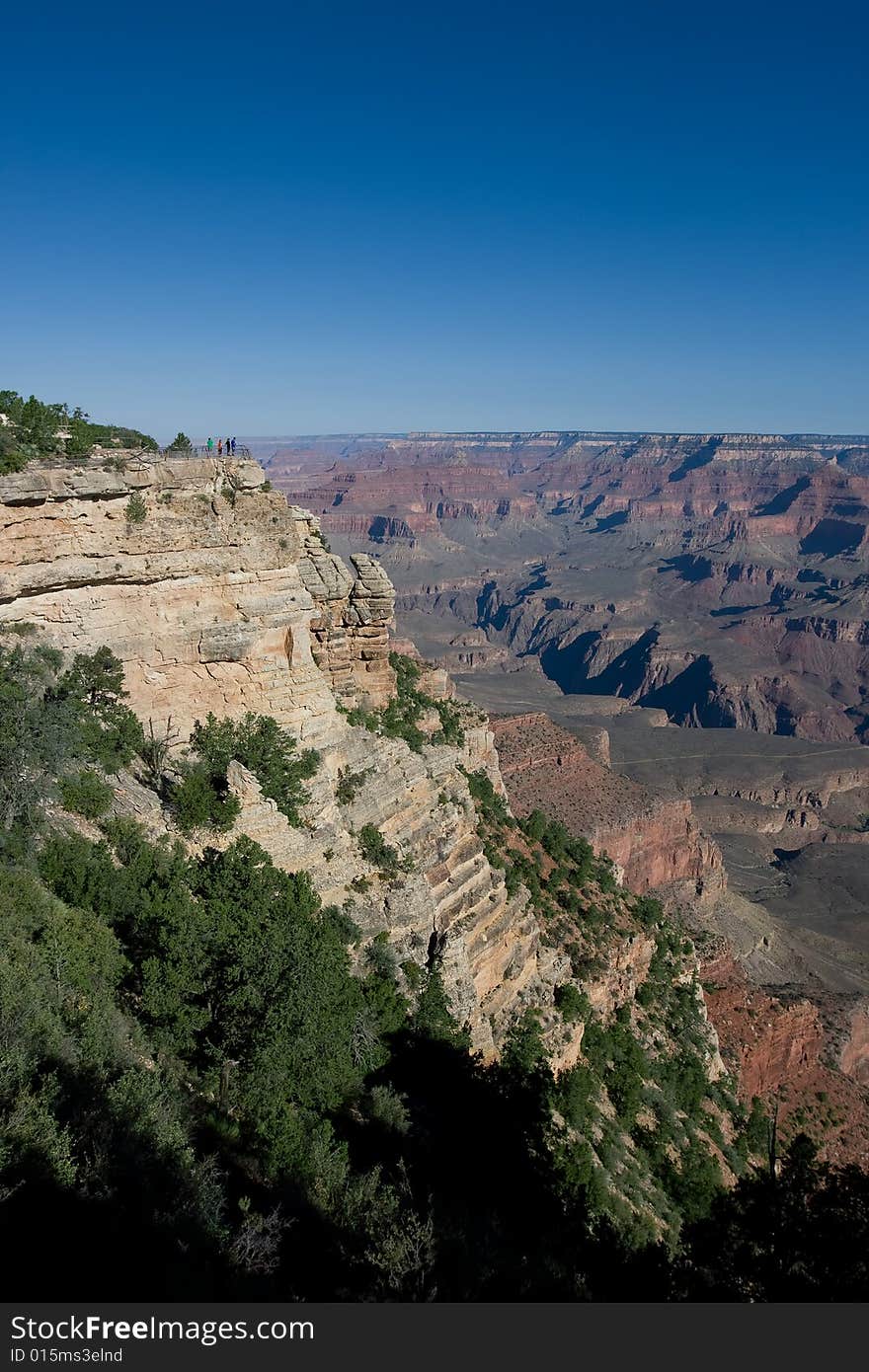 View point at the Grand Canyon with green trees