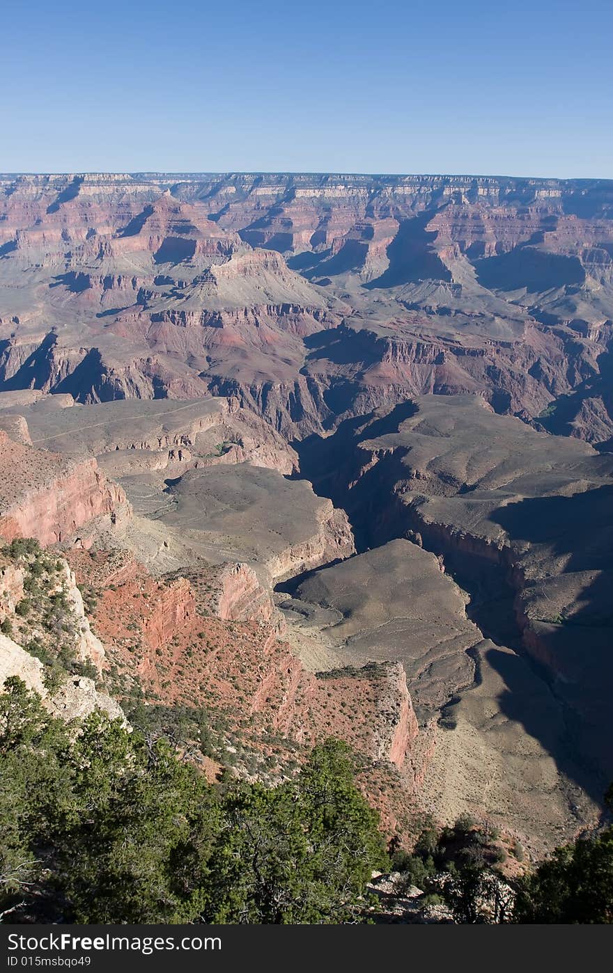 Grand Canyon with green trees and blue sky