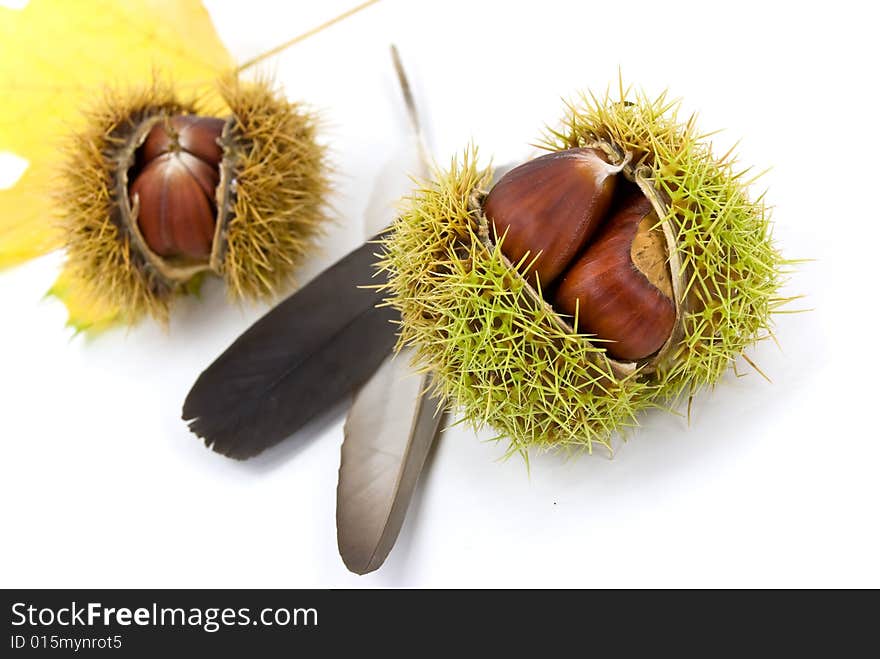 Edible, ripe chestnuts - isolated on white background.