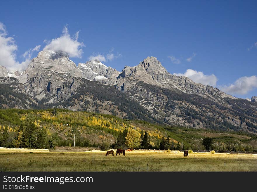 Grand Teton National Park