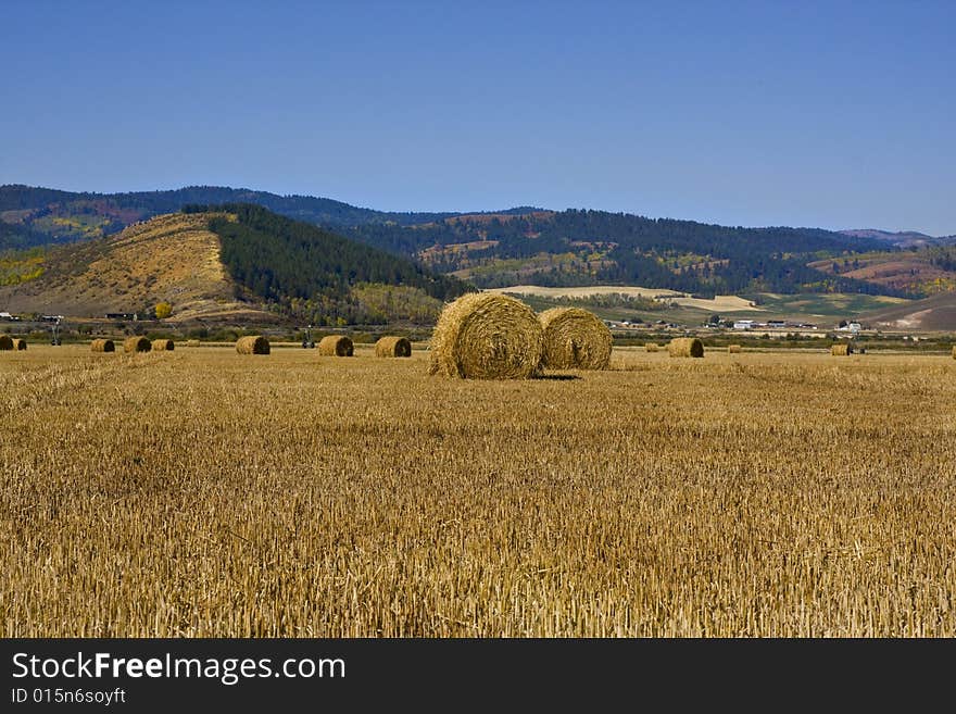 Grain field in the autumn with mountains in the background. Grain field in the autumn with mountains in the background