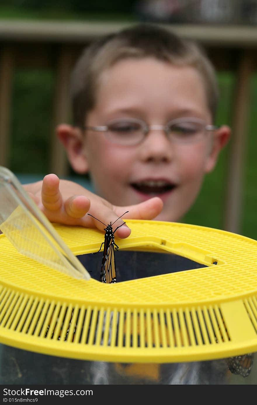 Boy Helping Butterfly From  Yellow Cage