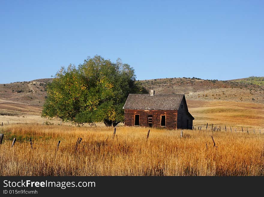 Deserted Farm with wheat grass and blue skys. Deserted Farm with wheat grass and blue skys