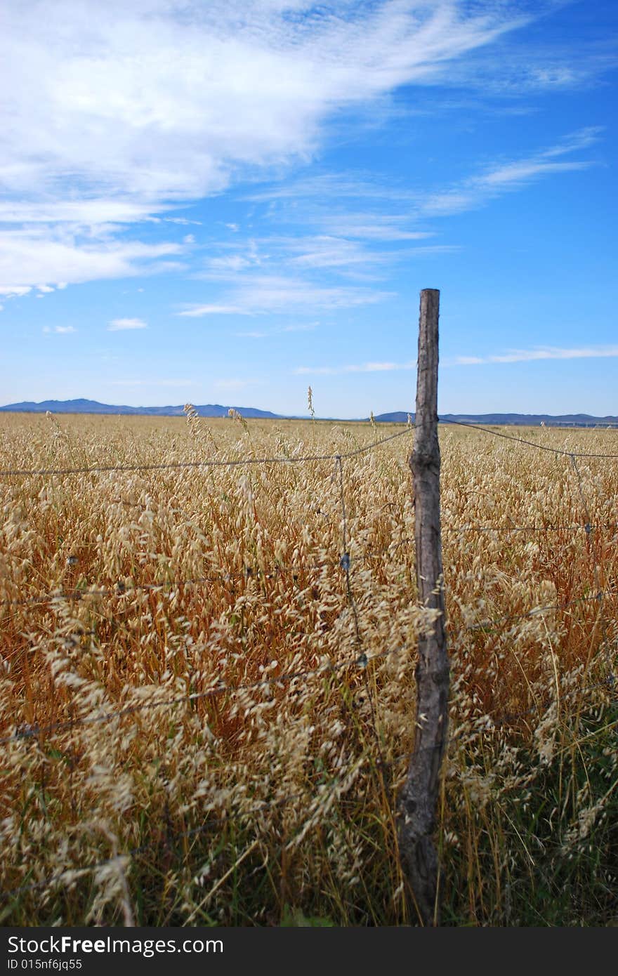 Pasture field and fence in the afternoon light, inner mongolia, china