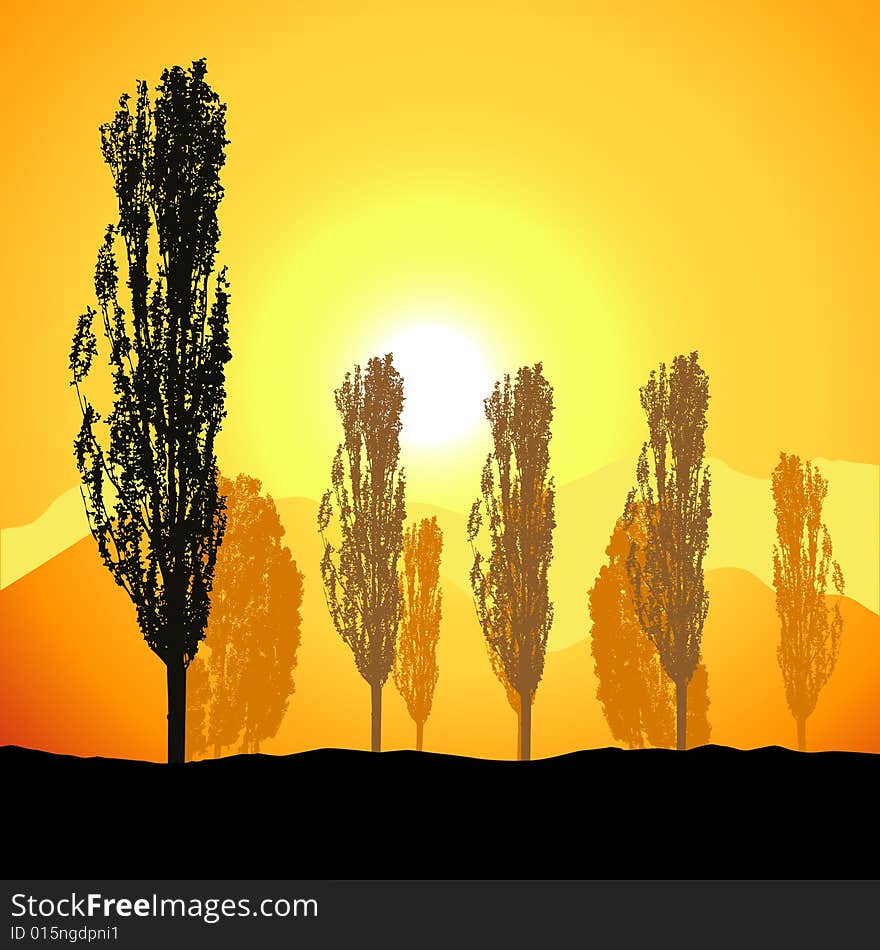 Tree silhouette, landscape,  illustration