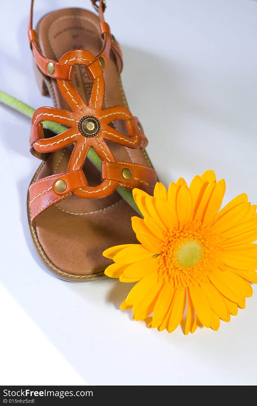 Shoe with yellow flower. Best Picture for posters. Simbol of young life. Shoe with yellow flower. Best Picture for posters. Simbol of young life.