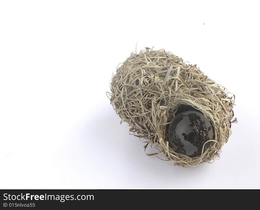 Symbol of the birth of the world in a nest