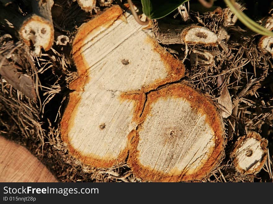 Close up of logs for background