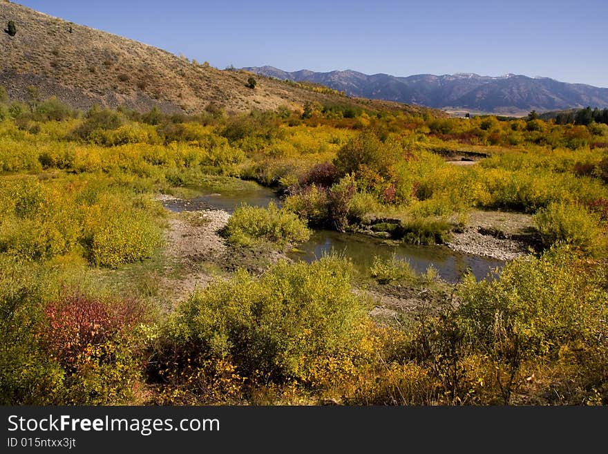 Mountain Meadow showing all fall colors. Mountain Meadow showing all fall colors