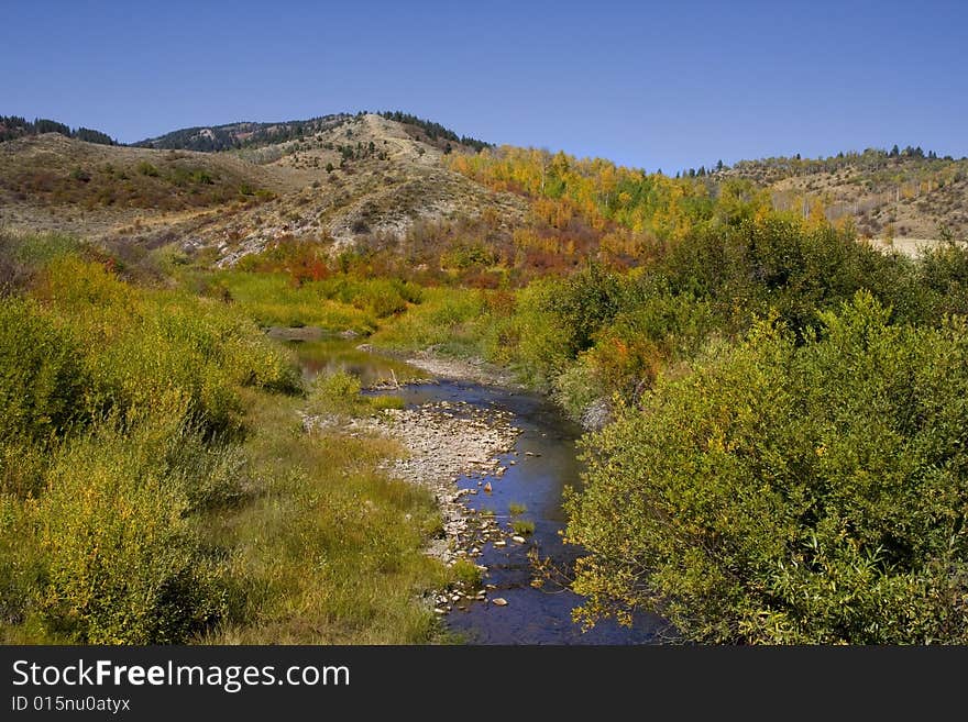 Mountain Stream is the fall showing  autumn colors. Mountain Stream is the fall showing  autumn colors