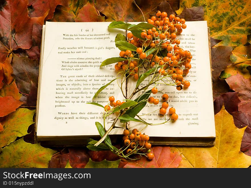 Autumn book