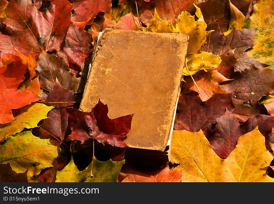 An old closed book on a background of a colored maple leafs. An old closed book on a background of a colored maple leafs