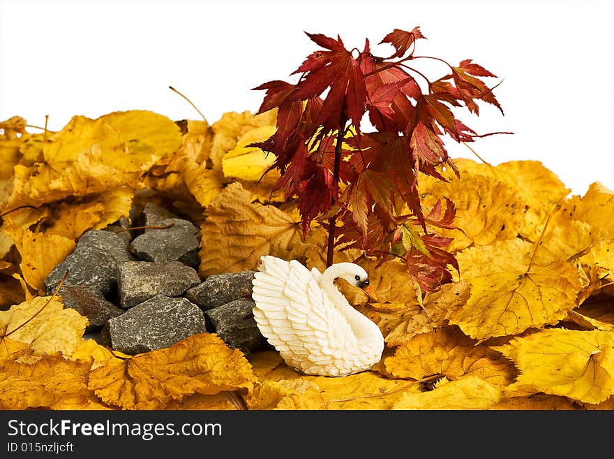 Still life - swan, leafs and stones. Still life - swan, leafs and stones