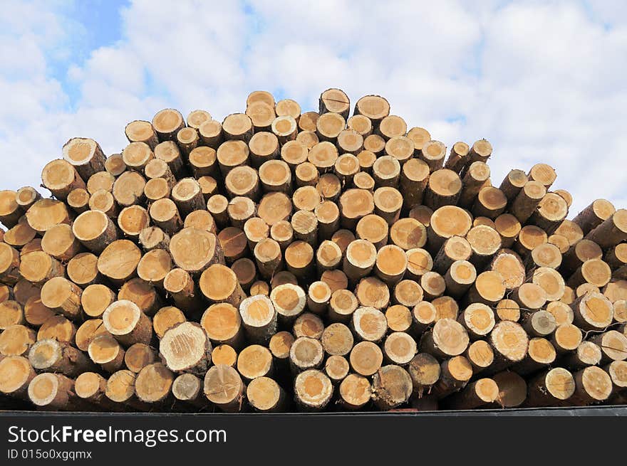 Stack from logs of coniferous trees. Stack from logs of coniferous trees.