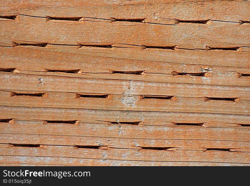 Wood texture