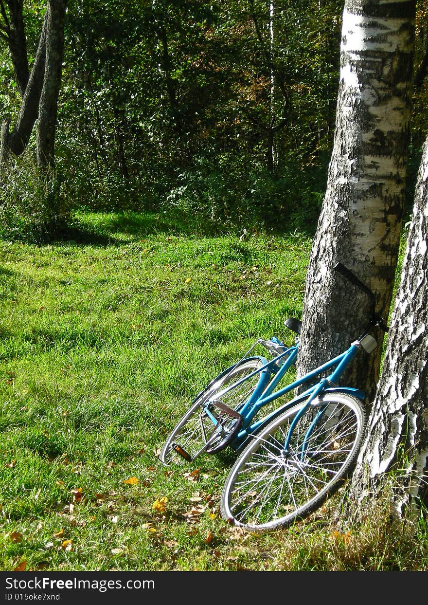 Bicycle at the tree at countryside