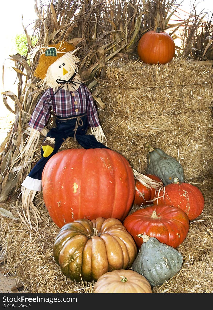 A strawman sitting on a bale of hay with many multicolored pumpkins at his feet. A strawman sitting on a bale of hay with many multicolored pumpkins at his feet