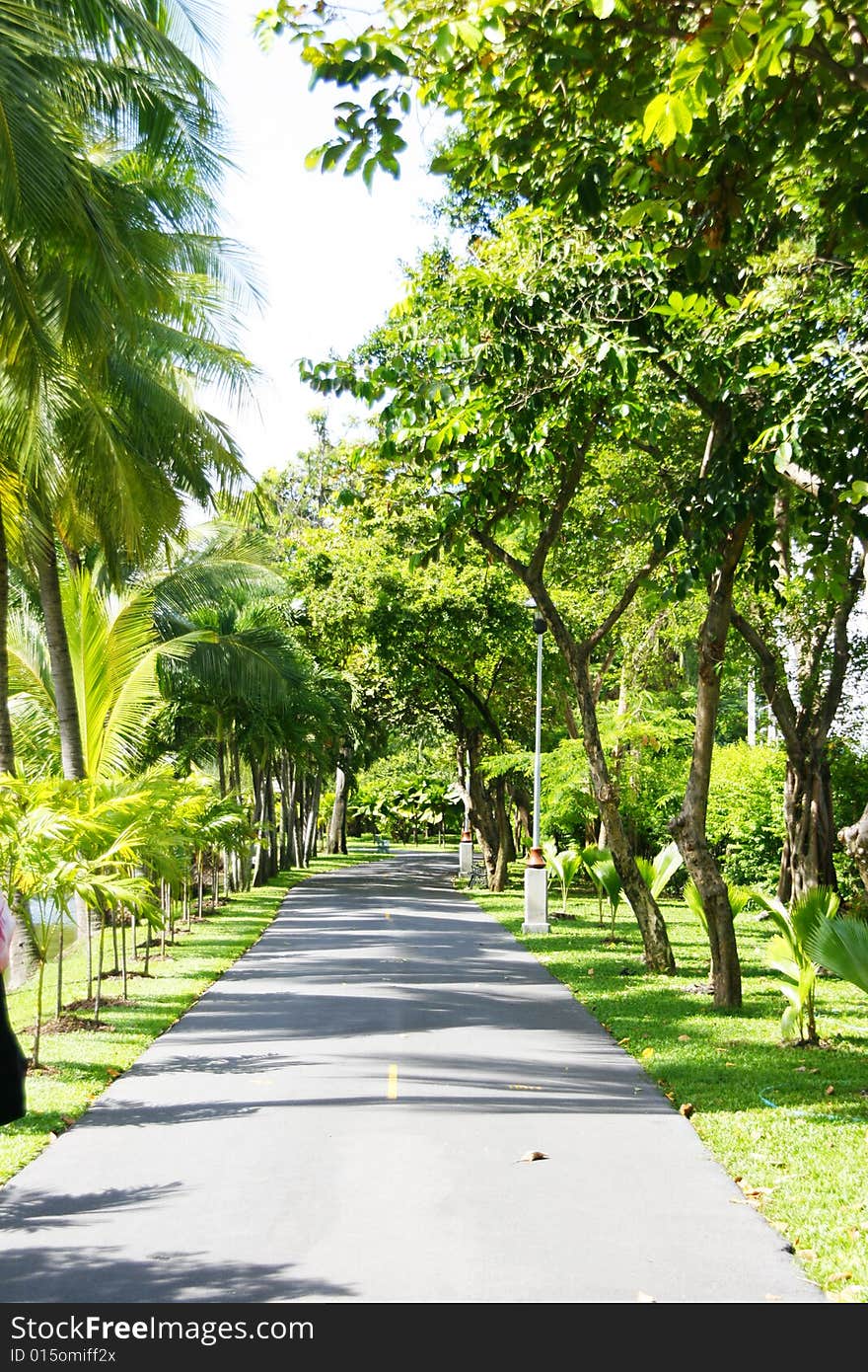 A public park in Bangkok on holiday time