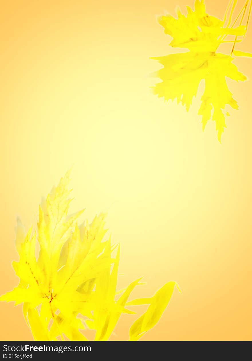 Marple leaf background