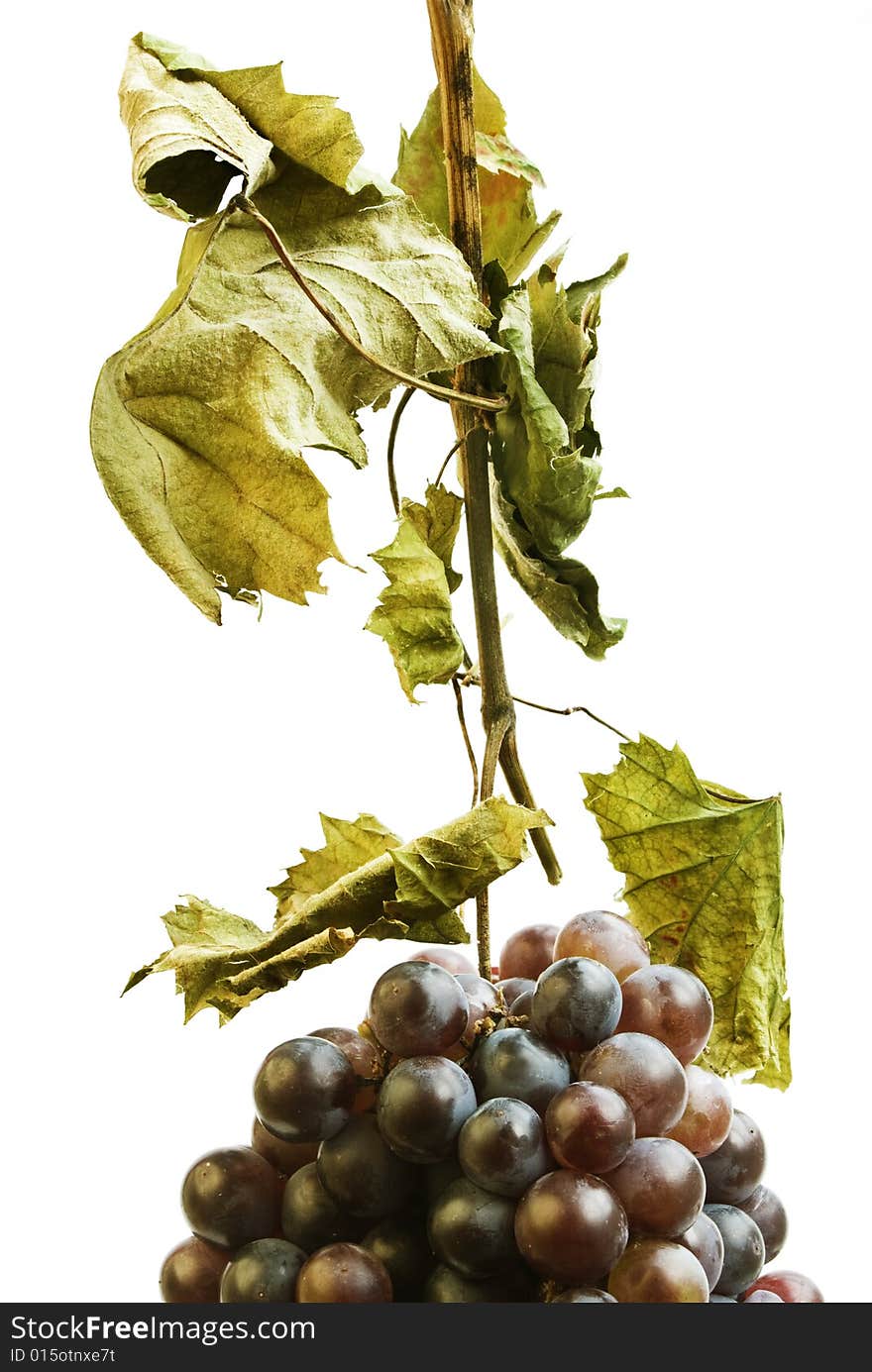 Red grapes