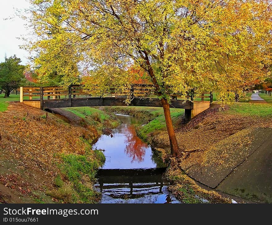 Colorful Autumn in the park