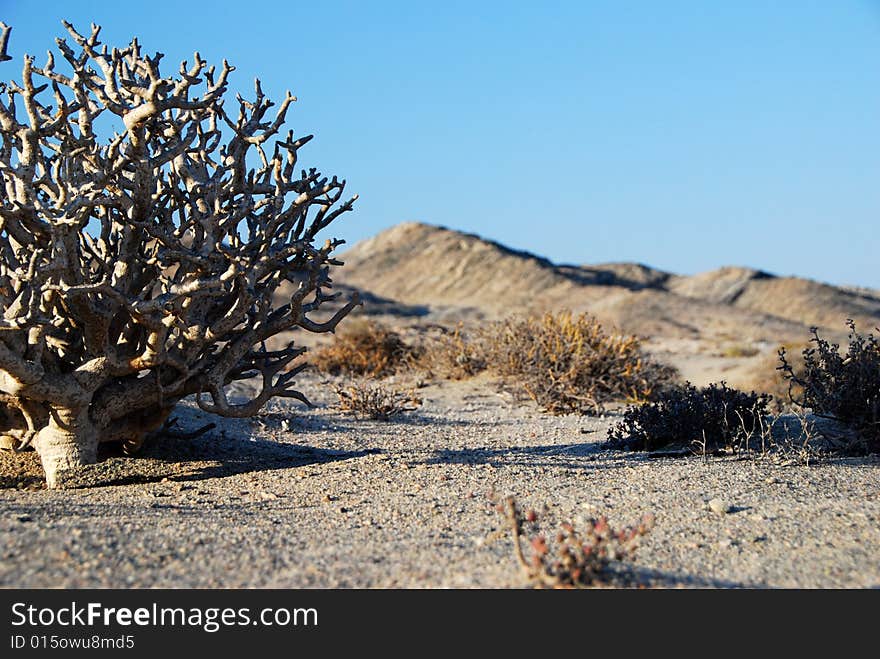 Namibian landscape. South-west of Namibia, Atlantic Coast.