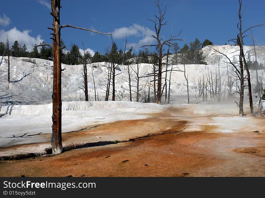 Angel terrace in Yellowstone  national park