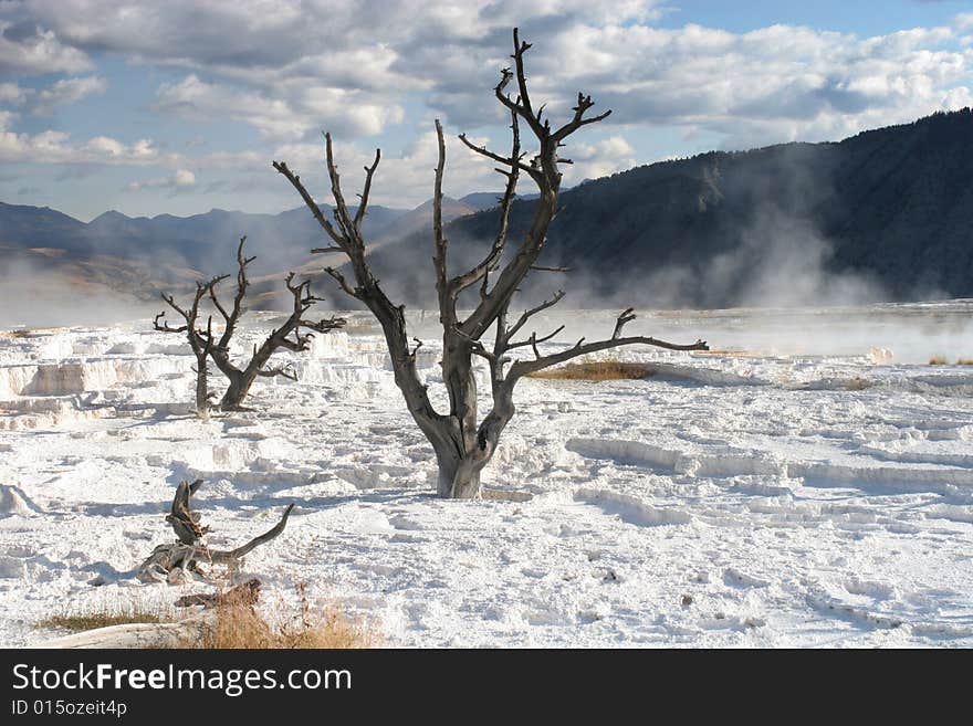 Mammoth Hot Springs