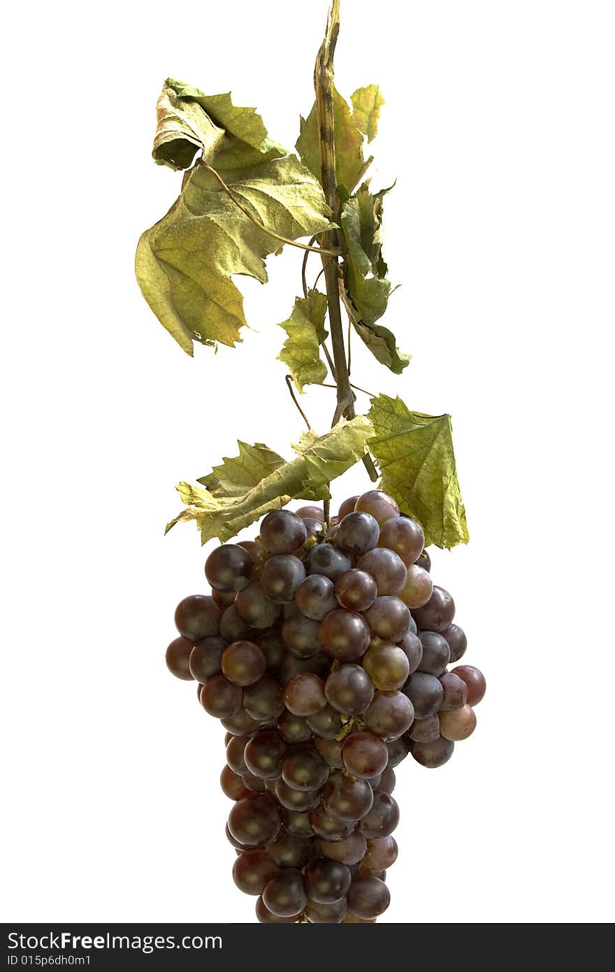 Red grapes