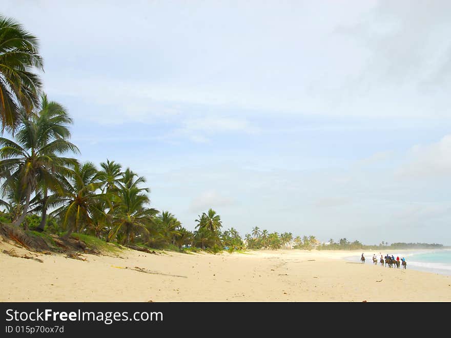 Ride on horseback along the beach