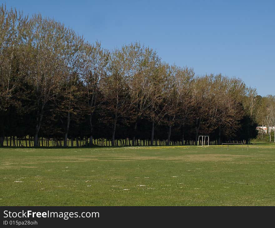 Trees and field