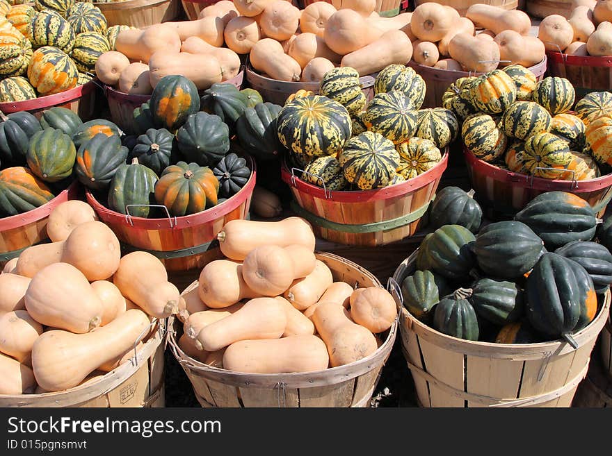 Autumn squash at a farm stand. Autumn squash at a farm stand