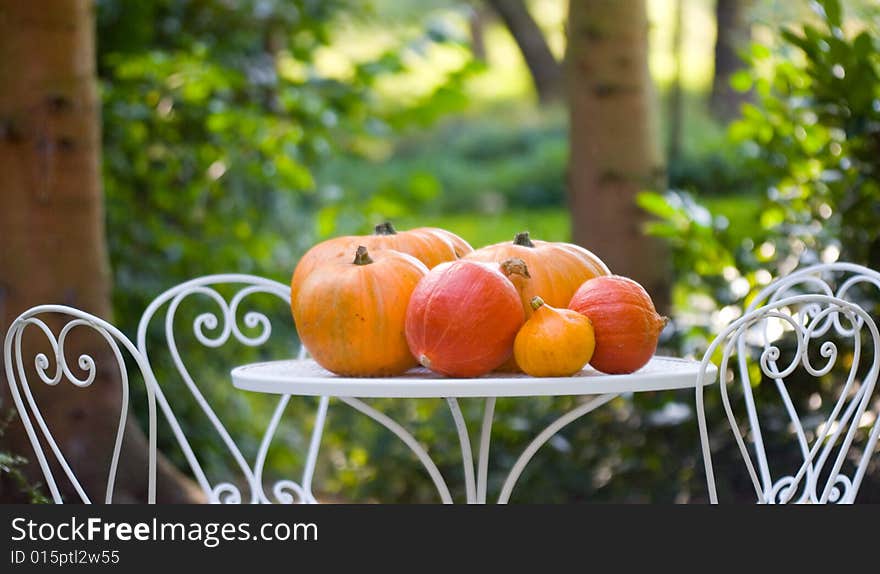 Red and orange pumpkins in a nature scene