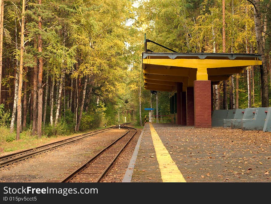 Railway station in the forest