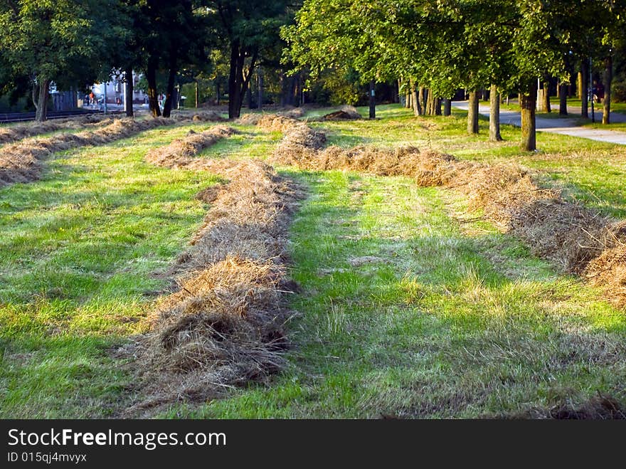 Freshly Mown Hay In Autumn.Rural Scene