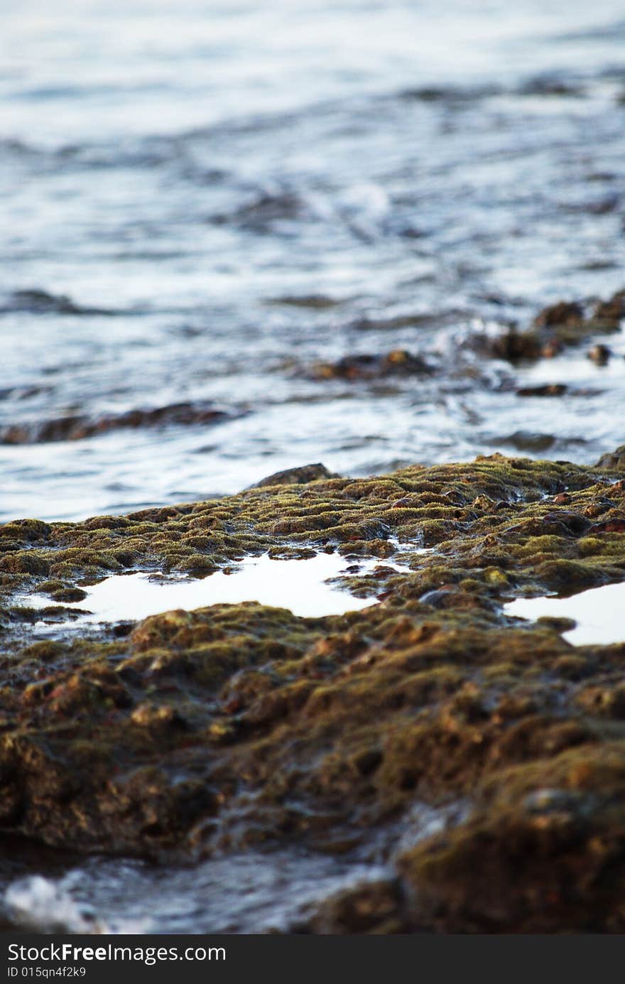 Foreshore beach, waves, close up