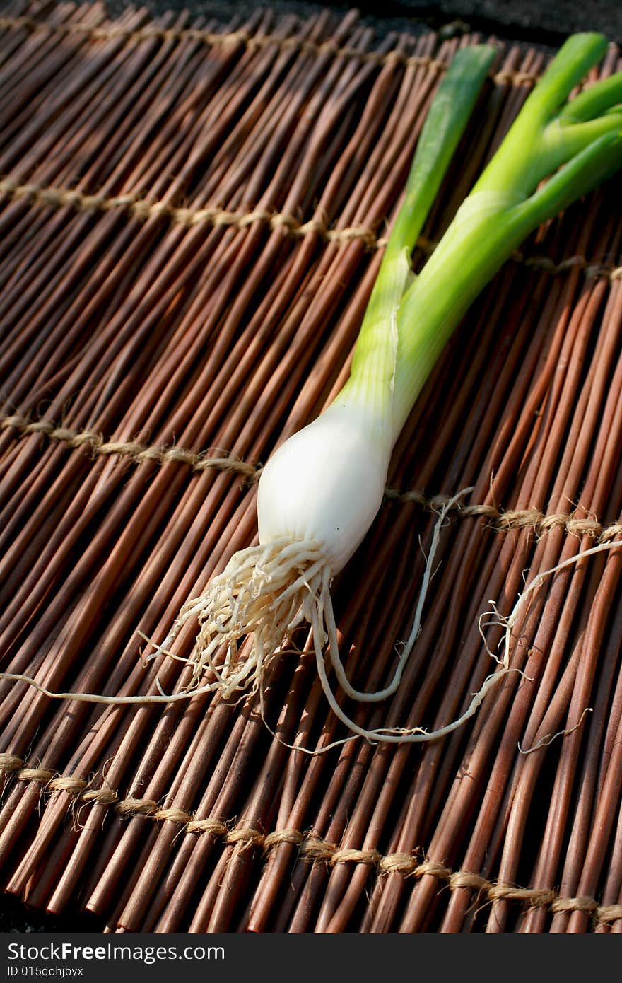 Single Spring Onion