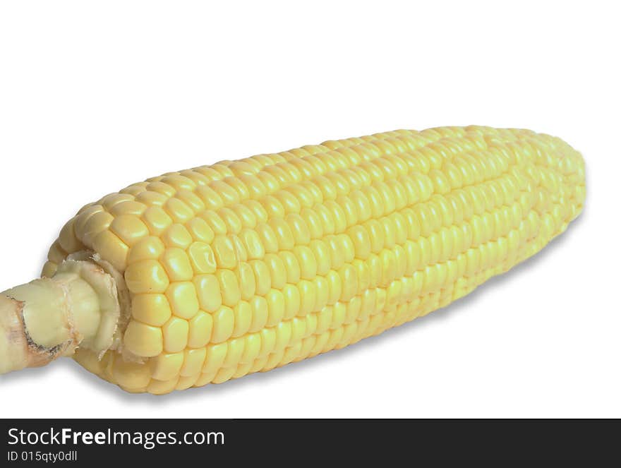 Fresh Corn