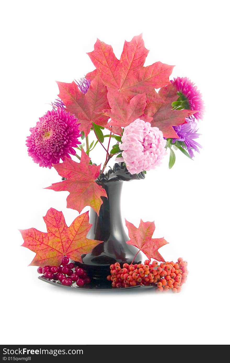 Guelder-rose and mountain ash with red maple leaves in black vase on white background